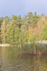 Fototapeta na wymiar Polska - Mazury - Warmia. Krajobraz.