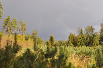 Tęcza. © Rafa