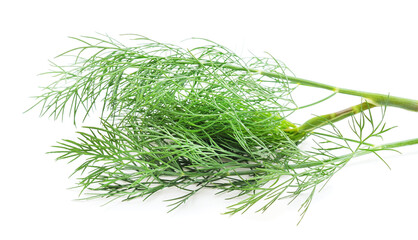 Bunch of green dill.