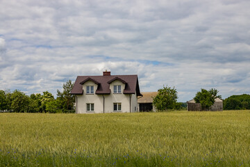 Fototapeta na wymiar landscape with a white house and a grain field
