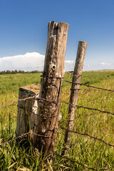 Weathered fence posts hold up a fence of rusty barbed wire along a pasture on a farm near Mandan, North Dakota.
