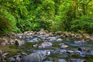 Naklejka premium La Fortuna jungle in the forest with clear river and fish, close to Arenal Volcano, Costa Rica national park. Central America.