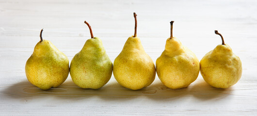 yellow pakham pears standing in a row on white table