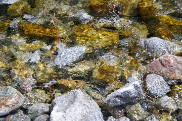 Mountain stream river with many rock stone. Natural outdoor flowing river background.