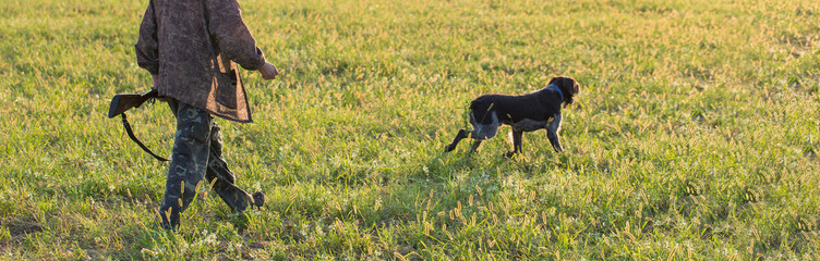 Silhouette of a hunter with a gun in the reeds against the sun, an ambush for ducks with dogs