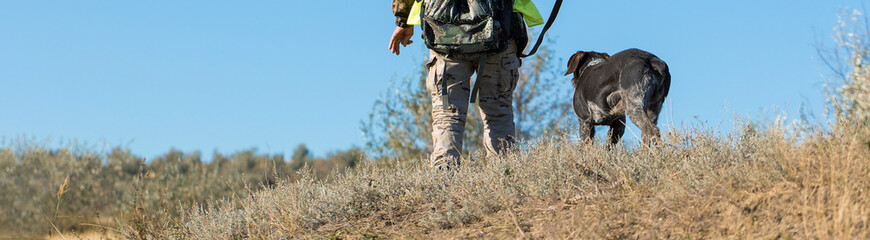 Hunters with a german drathaar and spaniel, pigeon hunting with dogs in reflective vests