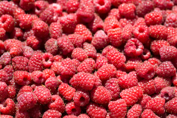 Macro photo of fresh raspberries. Background patern of sweet red raspberries.