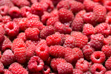 Macro photo of fresh raspberries. Background patern of sweet red raspberries.