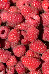 Macro photo of fresh raspberries. Background patern of sweet red raspberries.
