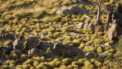 Rocky Landscapes at the Boab Quarry Campsite in the King Leopold Mountain Range in Western Australia.