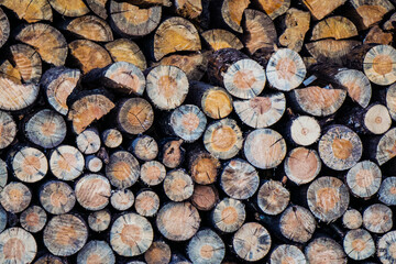 A timber texture, Cross-section wooden, chopped wood, firewoods, lumber