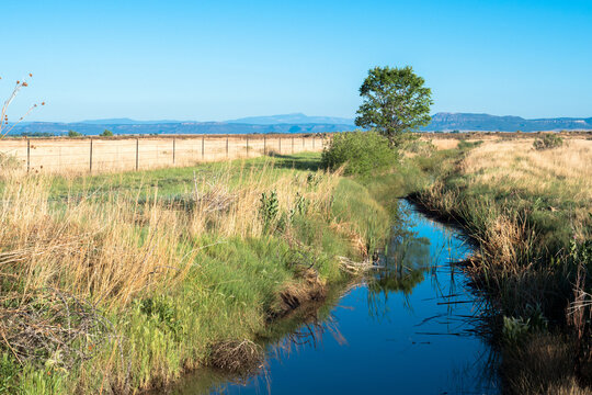 A creek crosses the prairie at Maxwell National Wildlife Refuge in New Mexico in summer