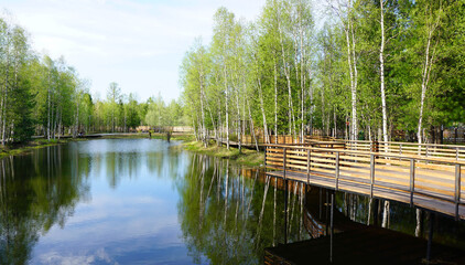 summer landscape Park pond benches birch trees