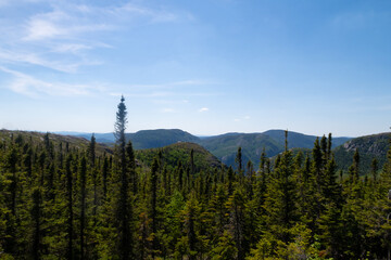 Beautiful landscape in the Grands-Jardins national park, in Charlevoix, Quebec