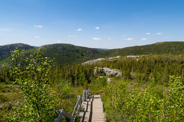 Fototapeta premium View from the summit of the 