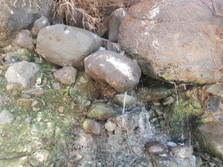stream in the forest
