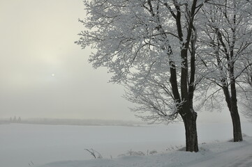 Polska - Mazury - Warmia. Krajobraz.