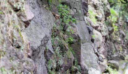piedra