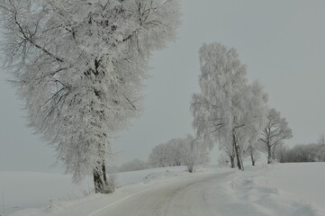Polska - Mazury - Warmia. Krajobraz zimowy.