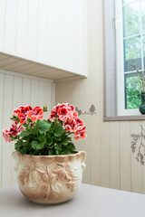 Blooming beautiful flower stands in the interior of a private home