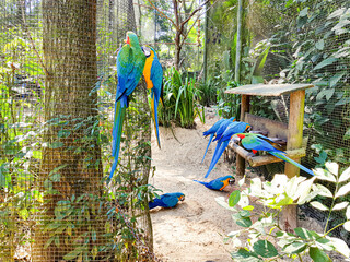 view of the falls of the iguaçu national park in the state of paraná in Brazil