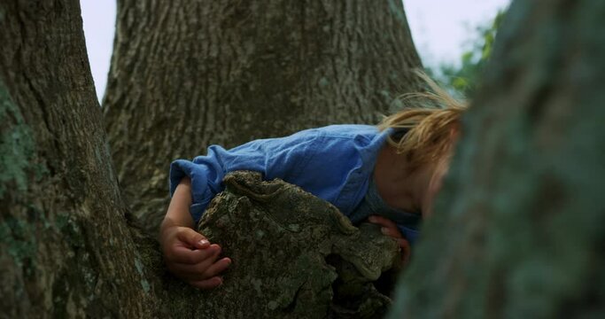 Little preschooler hiding in a tree