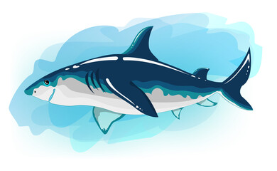 Shark cartoon. The illustration is colorful and vibrant. It can be used without a blue background. Stylized character for books, board games, stickers. Can be used as a print for t-shirts and clothes.