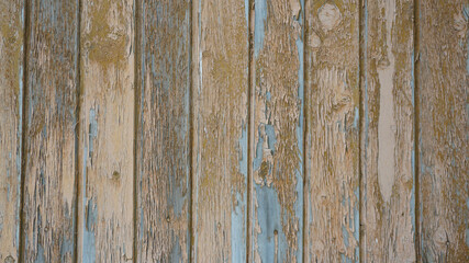 Obraz premium old wooden wall surface table background texture