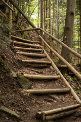 Drewniane schody na szlaku w górach - obrazy, fototapety, plakaty