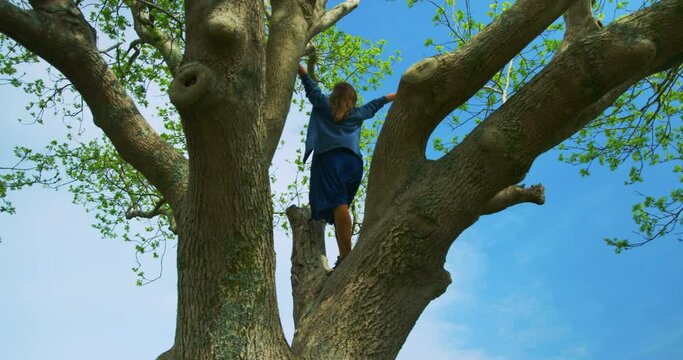 Happy woman in a big tree