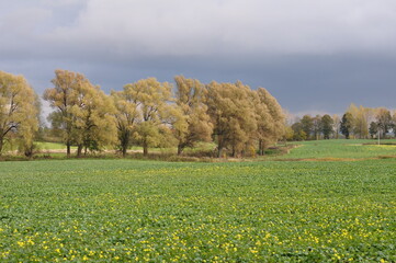 Jesień. Polska - Mazury - Warmia.