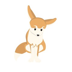 Fennec Illustration