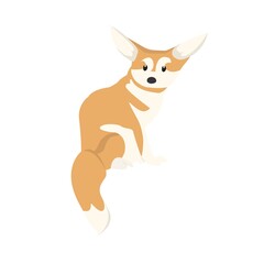 Fennec Illustration