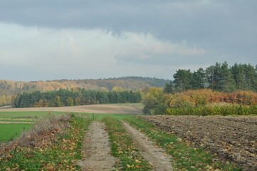 Fototapeta na wymiar Krajobraz mazurski