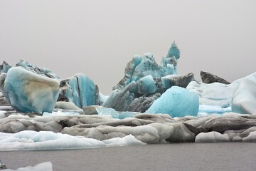 penguins in antarctica