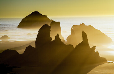 Face Rock and other sea stacks at sunset on the southern Oregon coast at Bandon