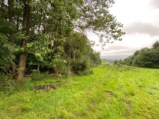Rural landscape, with old trees, grass, and heavy clouds near, Marsden, Huddersfield, UK