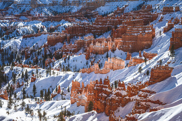 Pinnacles covered by snow at Bryce Canyon National Park.