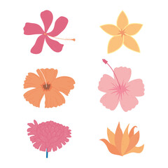 Obraz premium flowers decoration flourish nature floral design icons