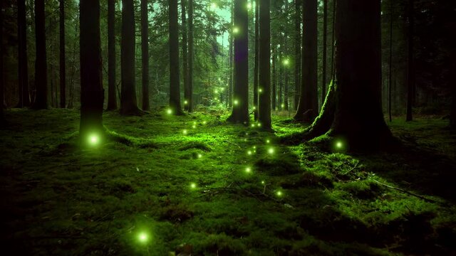 Fantasy green coloured mossy forest fairy tale with trees and magnificent random flying fireflies.