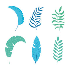 different tropical leaves foliage botancial nature icons isolated design
