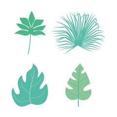different tropical leaves foliage botancial nature decorative icons isolated design