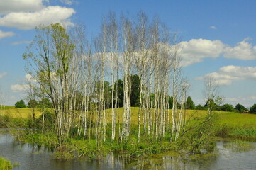 Polska - Mazury - Warmia. Krajobraz.