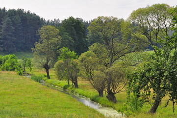 Warmia