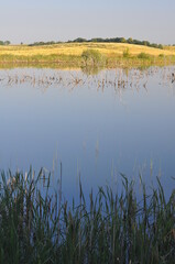 Krajobraz. Jezioro. Polska - Mazury - Warmia.