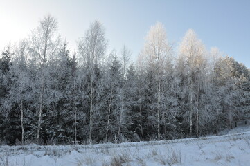Polska - Mazury - Warmia. Krajobraz zimowy.