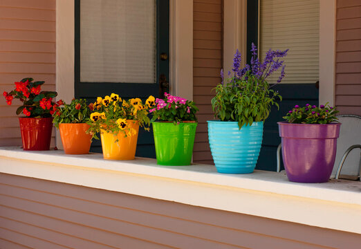 SONY DSC  Flower pots with blooms in many colors sitting on an outdoor windowsill or shelf.  Brilliant colors in a row.