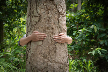 man hugging a tree , concept for save natural, environmental preserve, sustainable life style.