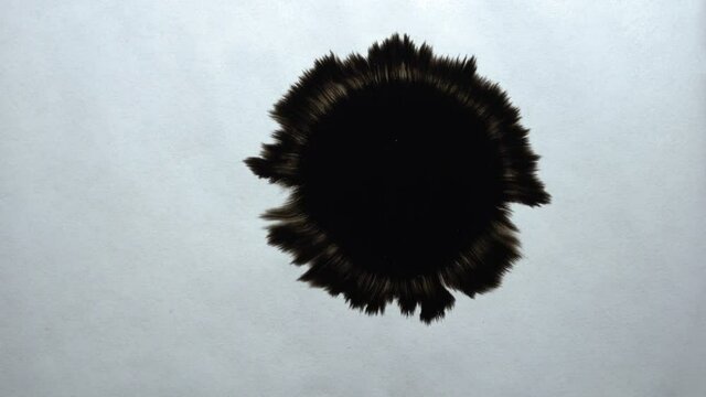 Black ink drops transition outwards on white paper, cutout, design element