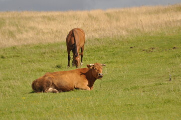 Polska - Mazury - Wadąg © Rafa